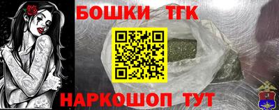 спайс Кингисепп