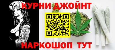 спайс Кингисепп