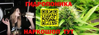 спайс Кингисепп