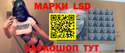 спайс Кингисепп