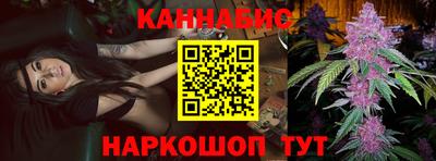 спайс Кингисепп