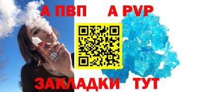 спайс Кингисепп