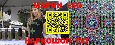 спайс Кингисепп